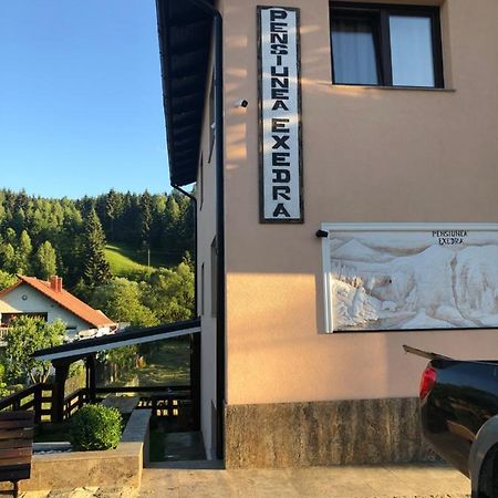 Borşa Pensiunea Exedra酒店 外观 照片
