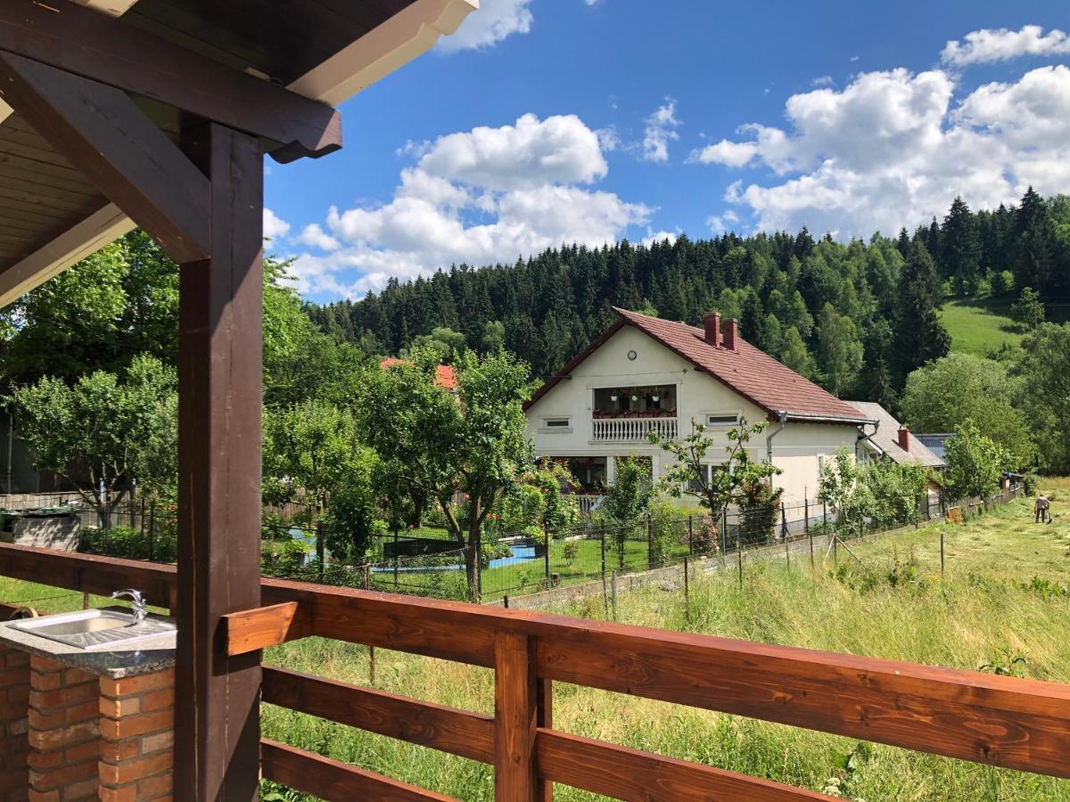 Borşa Pensiunea Exedra酒店 外观 照片