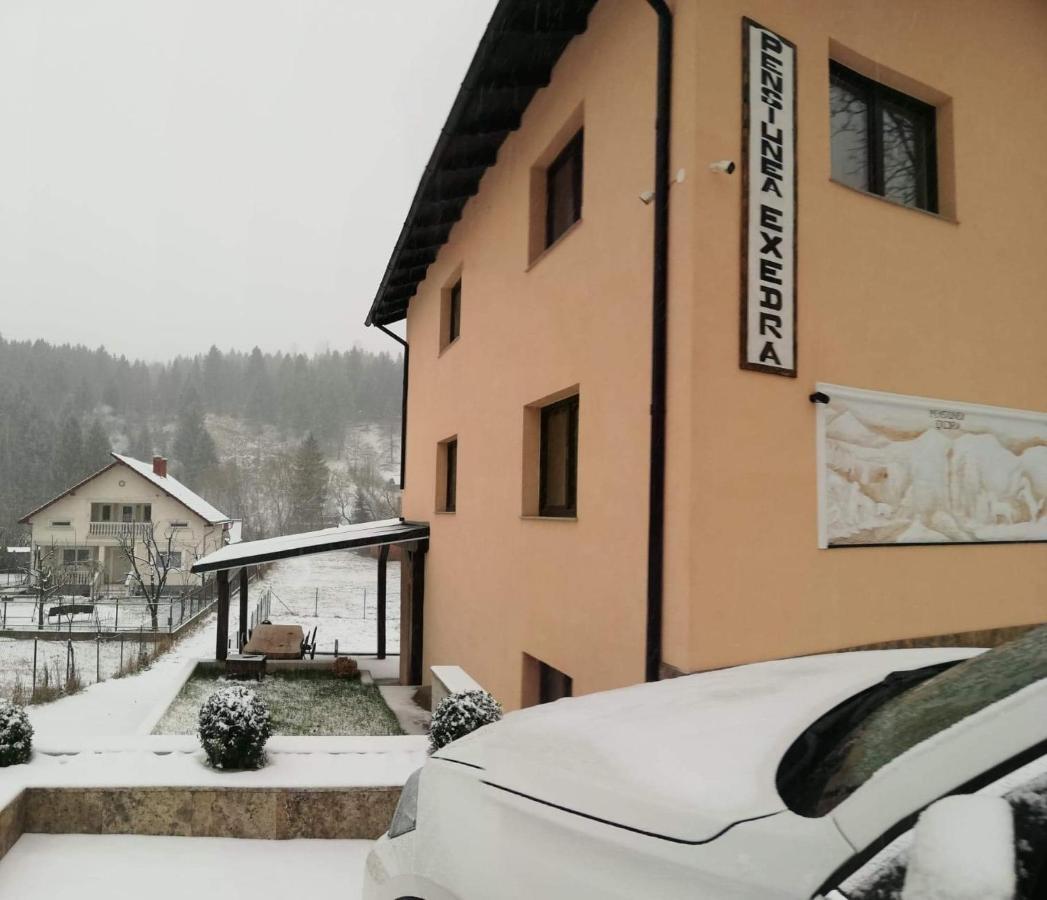 Borşa Pensiunea Exedra酒店 外观 照片
