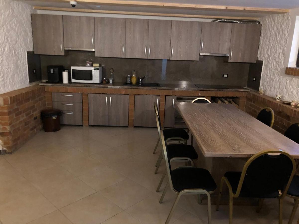 Borşa Pensiunea Exedra酒店 外观 照片